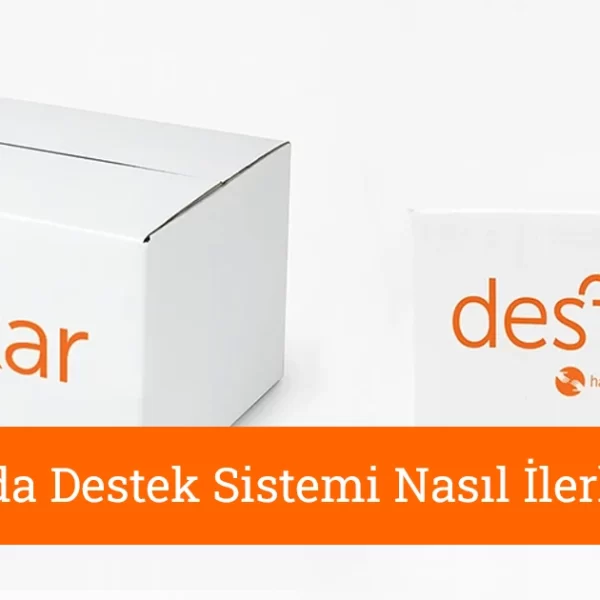 skida-destek-sistemi-nasil-ilerliyor.